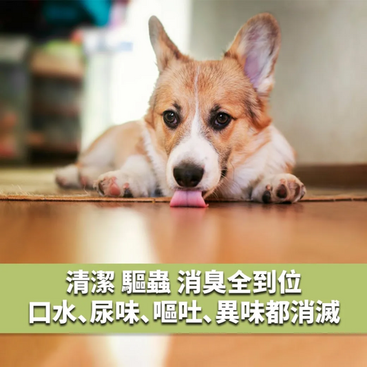 清檜 | 抗菌驅蟲萬用清潔劑 600ml