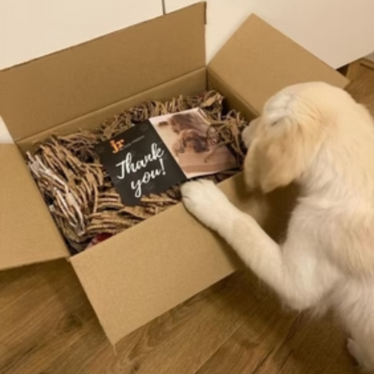 JR Pet Products|純鹿肉條 50克(狗狗用)