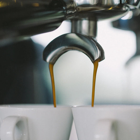 WPM | 三加熱塊意式咖啡機 KD-310P【香港行貨|1年保養】