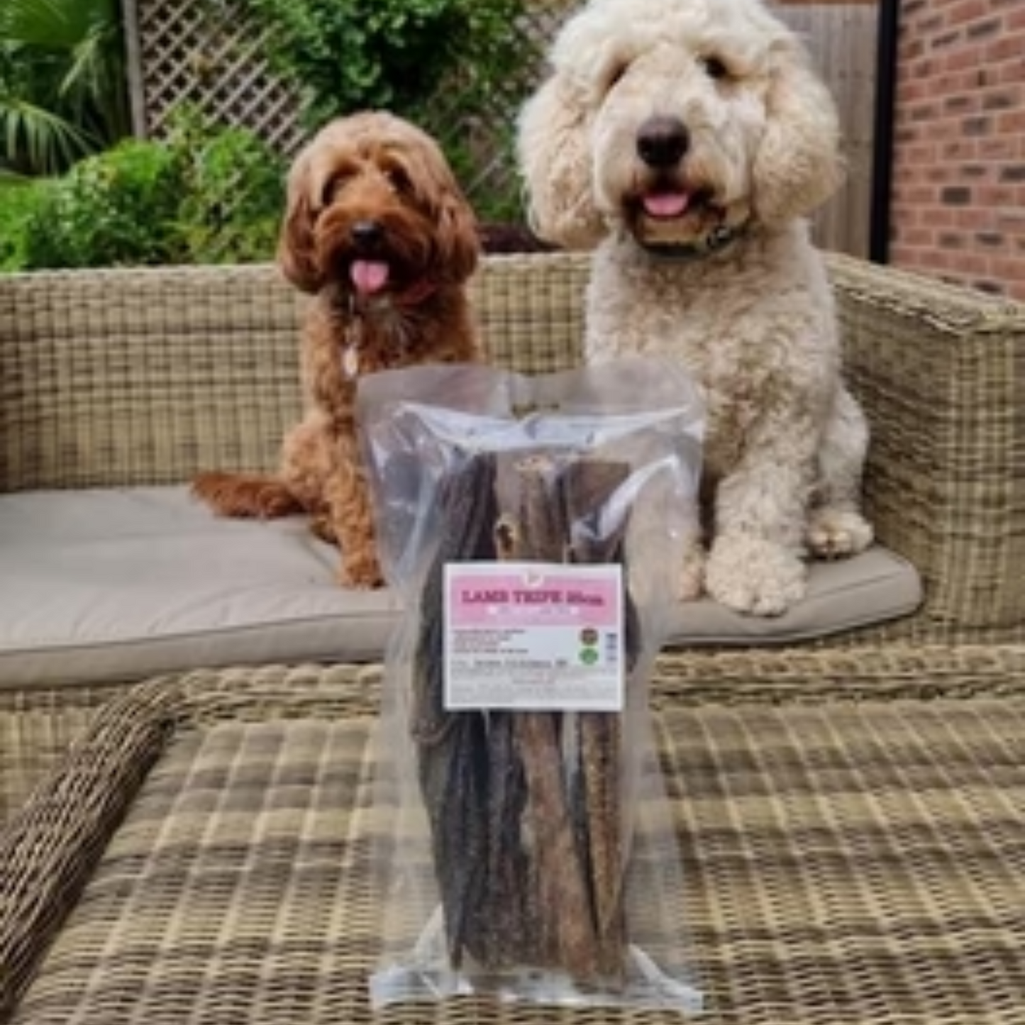 Jr PET PRODUCT|Lamb Tripe 25cm 150g (for dog)