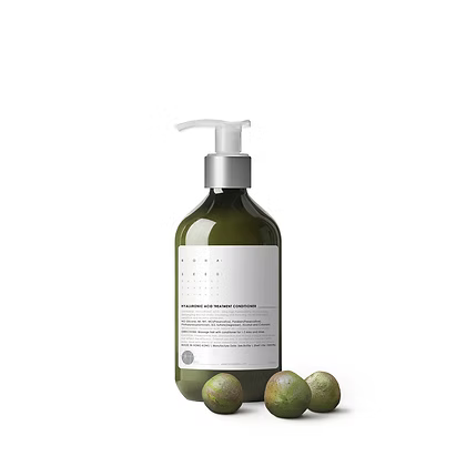 籽曰 ROHASEED|透明質酸滋潤補濕護髮素 (300ml)【香港品牌 香港製造|行貨】