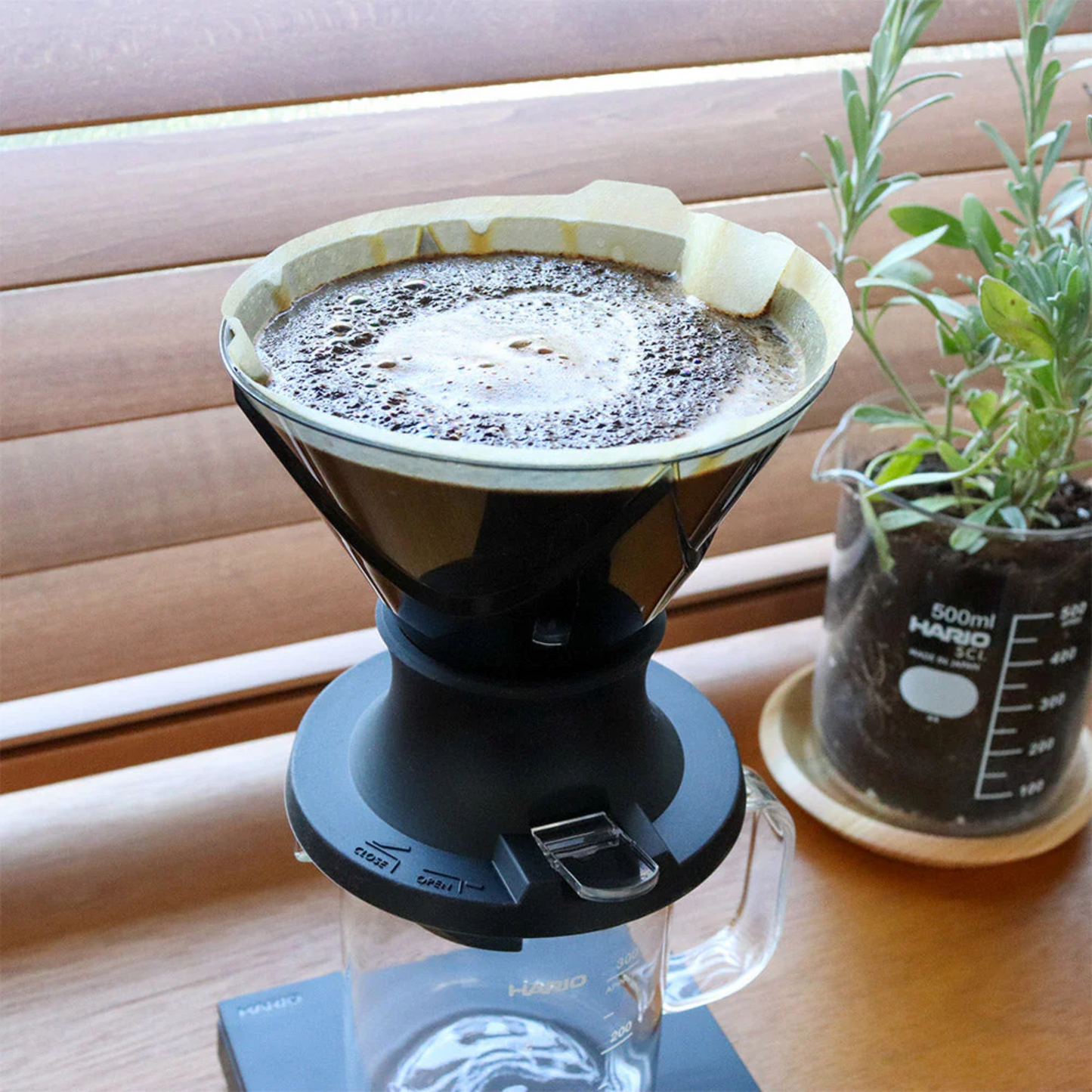 Hario|Mugen x Switch V60 02手沖咖啡樹脂膠濾杯 無限x聰明杯 MUSD-02-B【平行進口產品】