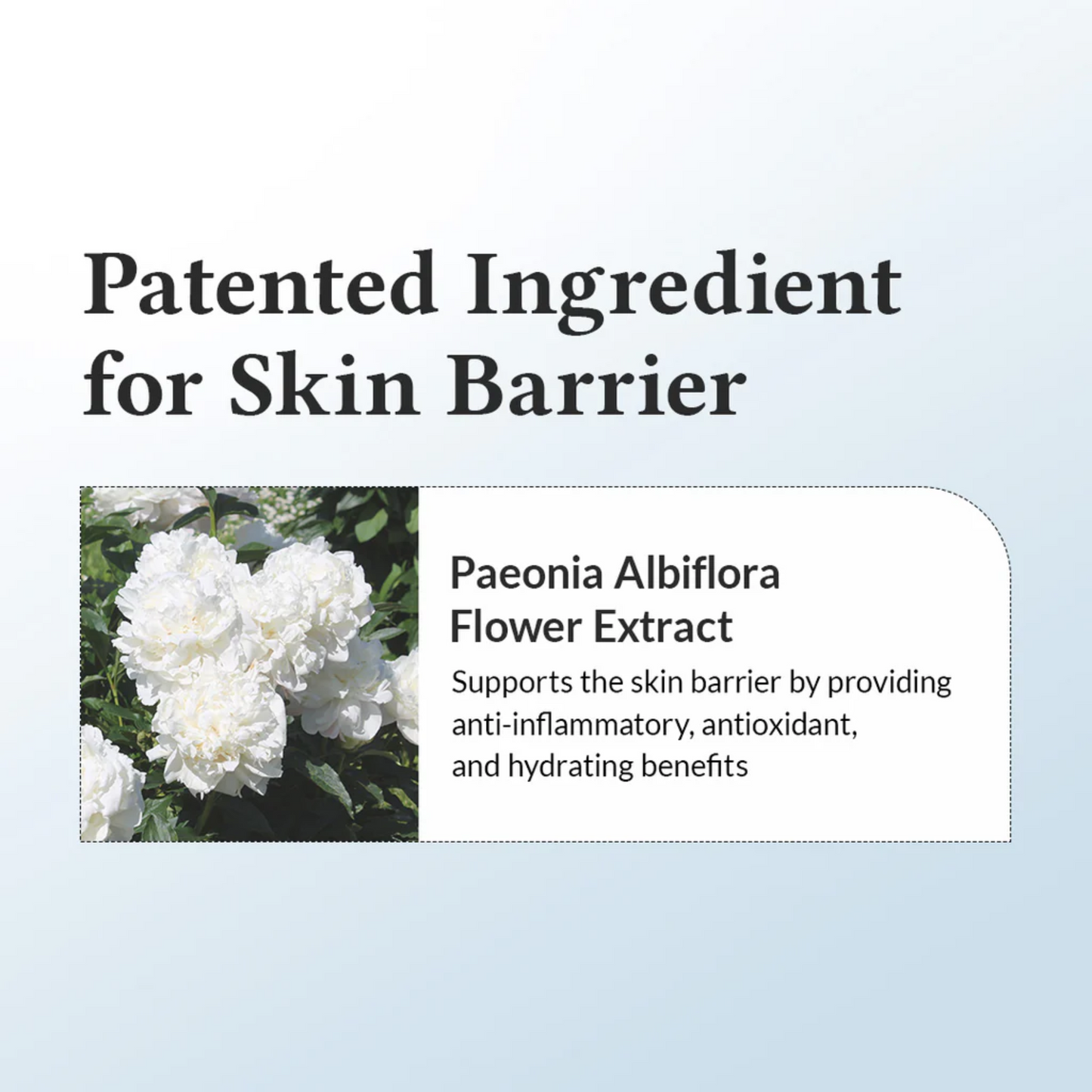 Dr. Althea|147 Barrier Cream 肌膚屏障保濕隔離舒緩面霜 50ml【平行進口產品】