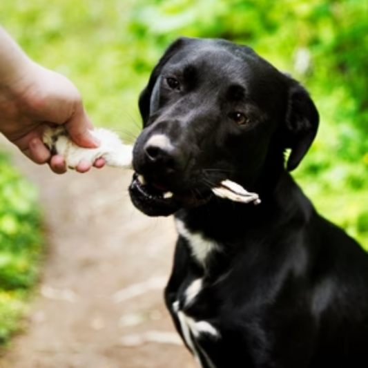 JR Pet Products|帶毛兔耳 100g (狗狗用)