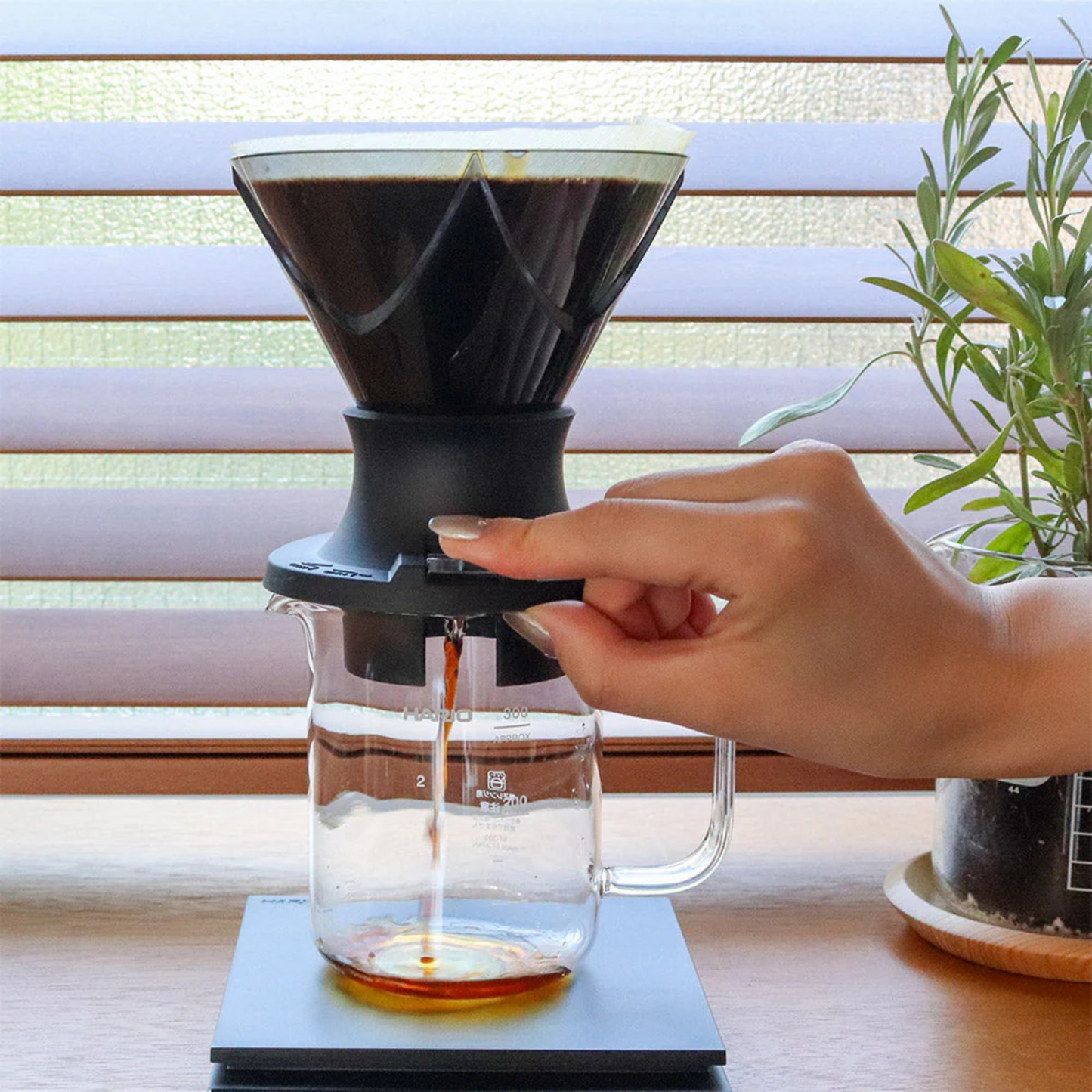 Hario|Mugen x Switch V60 02手沖咖啡樹脂膠濾杯 無限x聰明杯 MUSD-02-B【平行進口產品】