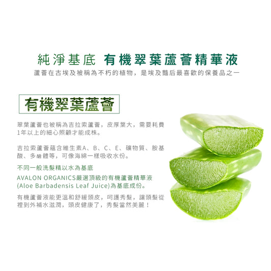 Avalon Organics | 茶樹頭皮調理精油洗髮精 洗頭水 946ml【平行進口產品】