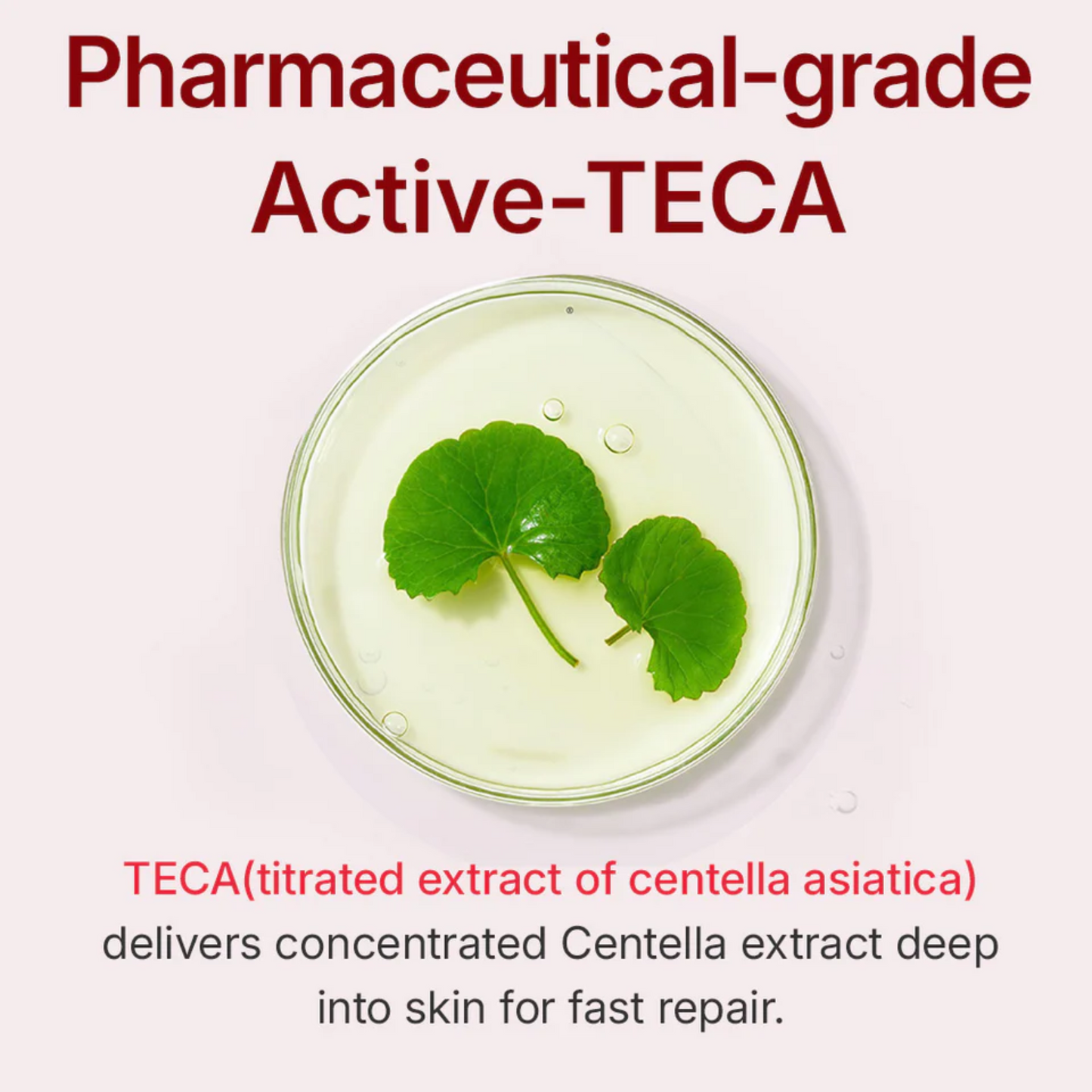 Centellian24 | Madeca Cream Time Reverse 50ml [Parallel Import Product]