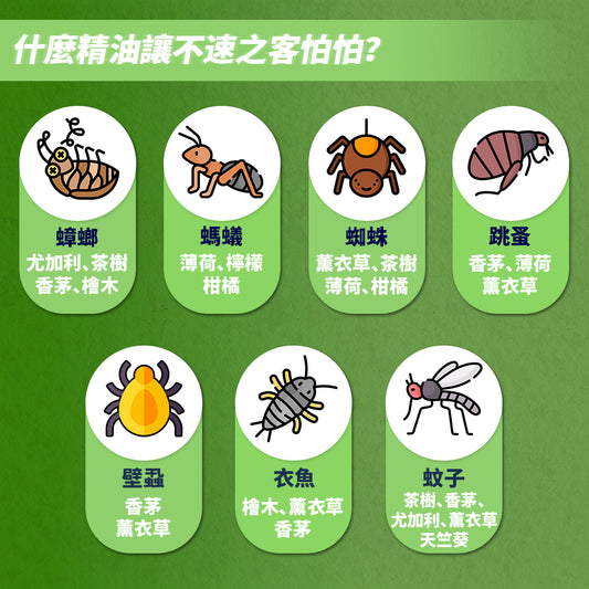 清檜 | 抗菌驅離萬用清潔劑 600ml
