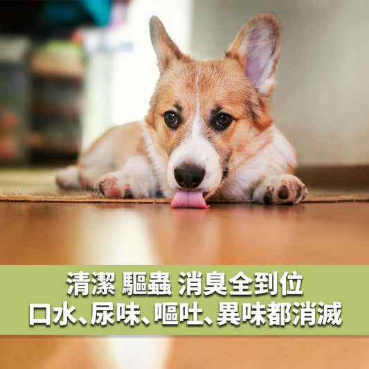 清檜 | 抗菌驅離萬用清潔劑 600ml