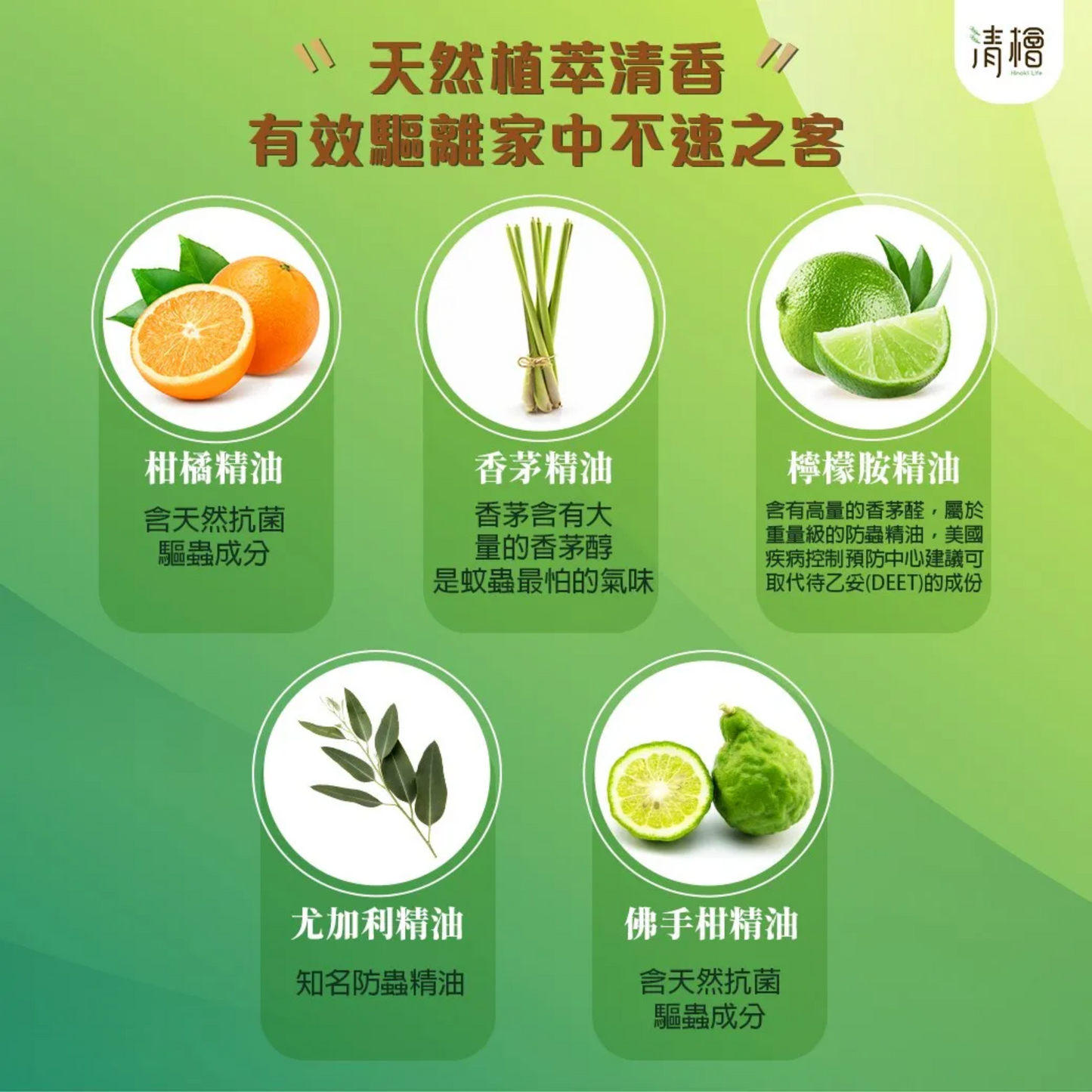 Hinoki Life｜Herbal All Purpose Cleaner 600ml